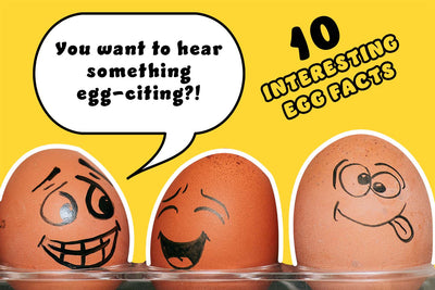 10 "Egg-citing" Egg Facts and Tips That You May Not Know